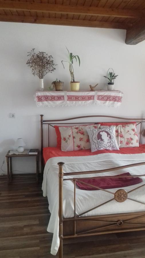 Rigofuetty Vendeghaz Ξενοδοχείο Tiszaalpar Εξωτερικό φωτογραφία