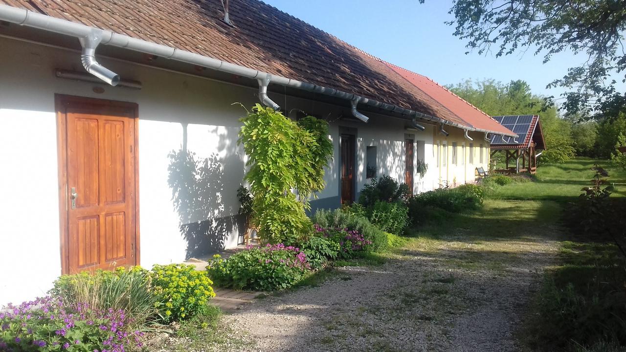 Rigofuetty Vendeghaz Ξενοδοχείο Tiszaalpar Εξωτερικό φωτογραφία