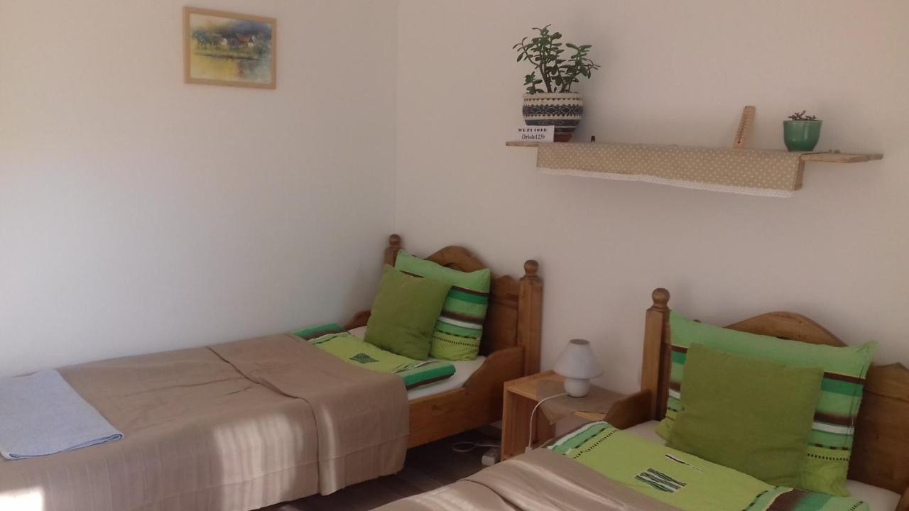 Rigofuetty Vendeghaz Ξενοδοχείο Tiszaalpar Εξωτερικό φωτογραφία