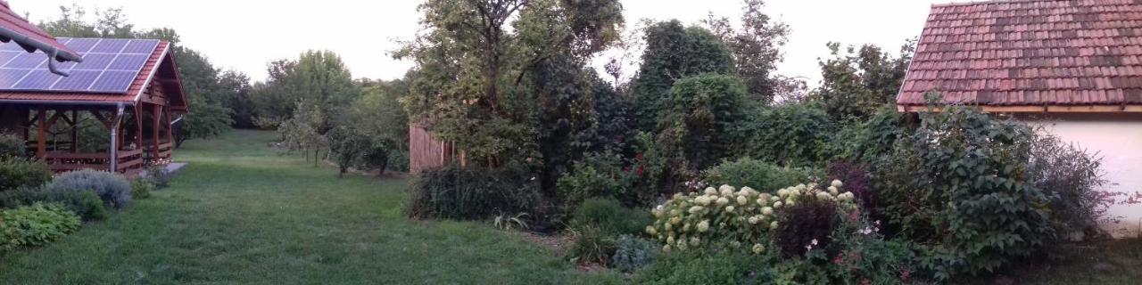 Rigofuetty Vendeghaz Ξενοδοχείο Tiszaalpar Εξωτερικό φωτογραφία